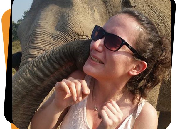 Idil elephant