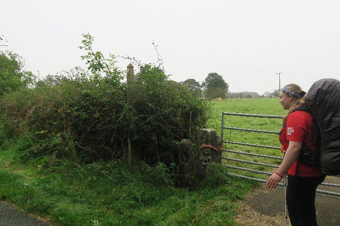 Dofe`