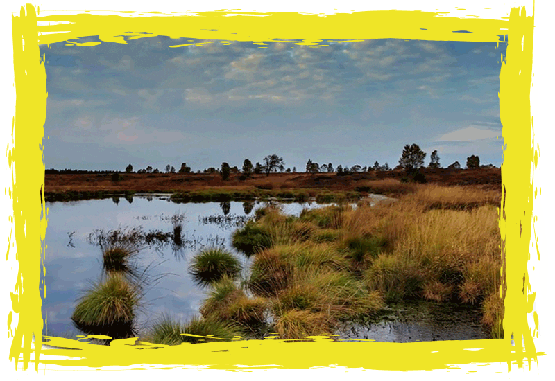 john-muir-border