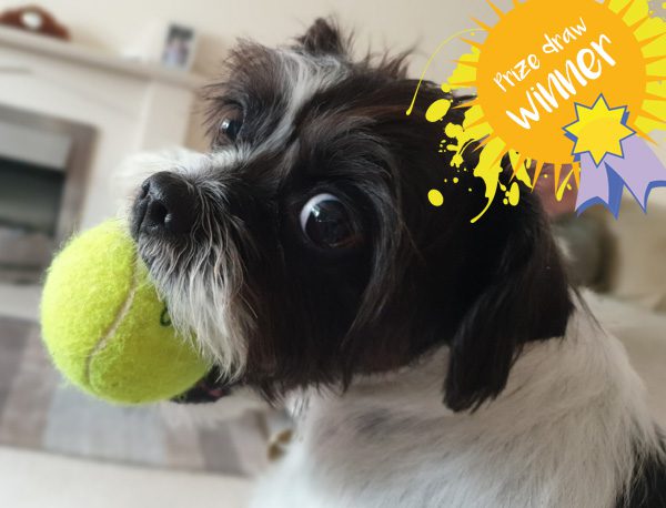 Eilidh-pet-winner Prize draw winner