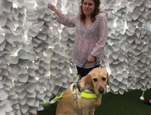 My Milton Keynes International Festival Experience