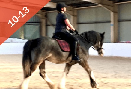 10 to 13. A woman riding a brown horse with white socks.
