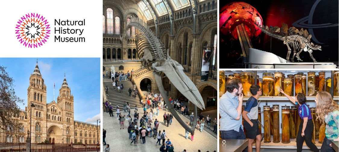 NHM banner Natural history museum