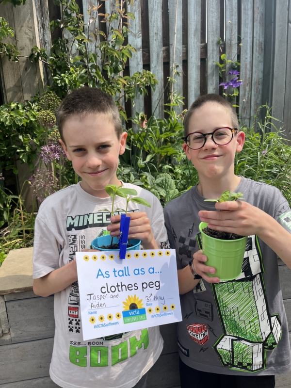 Aiden and Jasper The two boys hold up their sunflower plants in their pots with a clothes peg and a sign that reads 'as tall as a clothes peg'