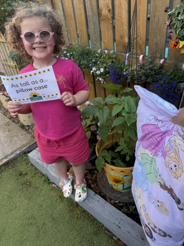 Daisy-pillow-case A princess pillow next to the sunflower for scale. Daisy holds a sign reading 'as tall as a pillowcase' and smiles brightly.