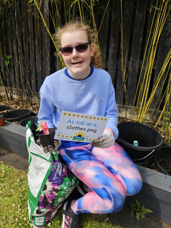 felicity-clothes-peg Child wearing colourful leggings and a light blue sweatshirt kneeling outdoors with gardening gloves, holding a sign that reads 'As tall as a... clothes peg'.