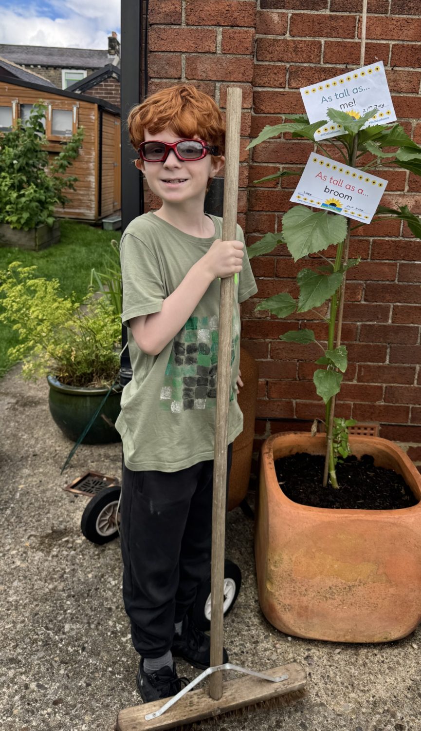 luke-tall-as-me-broom A boy holds a broom next to his sunflower plant - the plant, himself and the broom are all the same size! There are two signs balanced in the leaves reading 'as tall as me' and 'as tall as a broom'