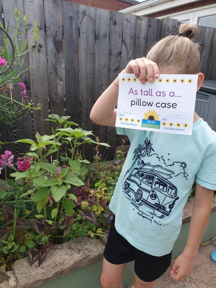 oscar-4 Standing next to the sunfllower plant a boy holds a sign reading 'as tall as a pillow case'
