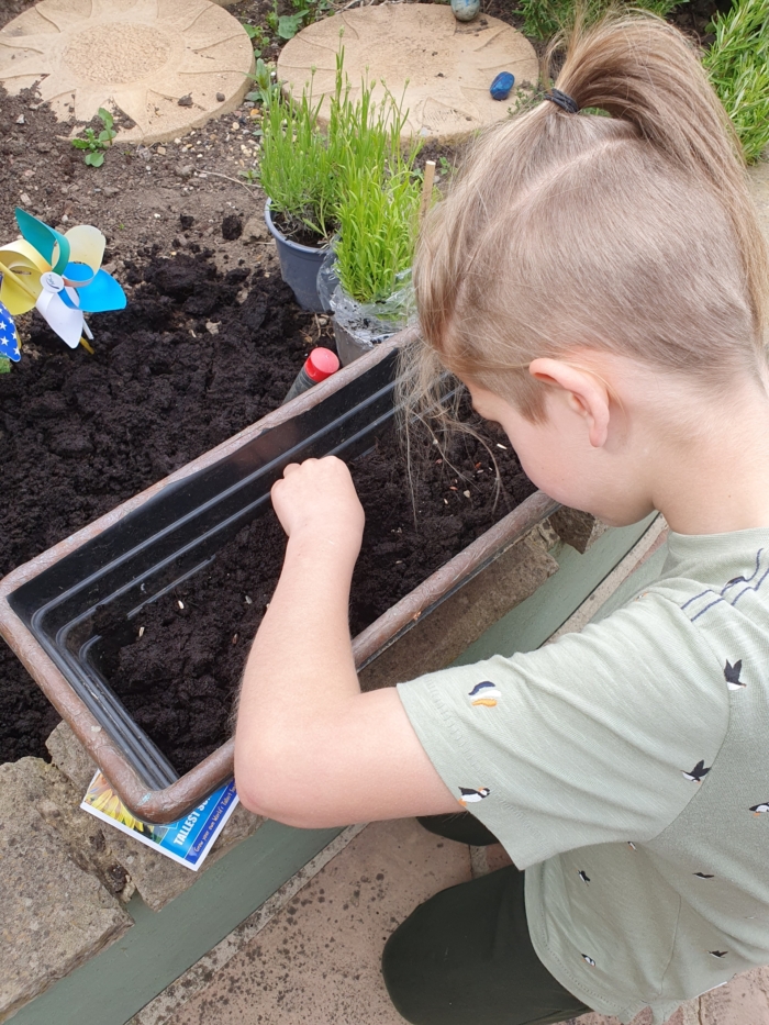 oscar A boy plants seeds into a planter