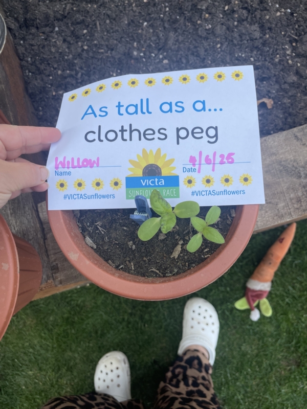 willow-1 Willow's sign over her plant reading 'as tall as a clothes peg'