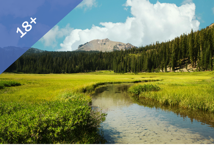 A stream running through green reeds towards a mountain against a blue sky.