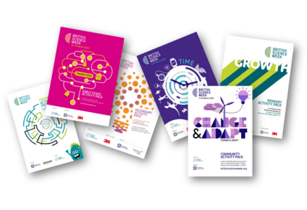 Activity Packs laid out flat on a white surface.