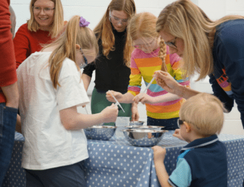Science Fair 2026 Gallery