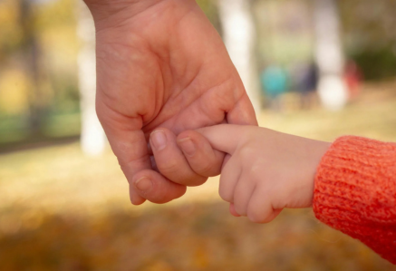 Close up of a child holding a parent's hand.