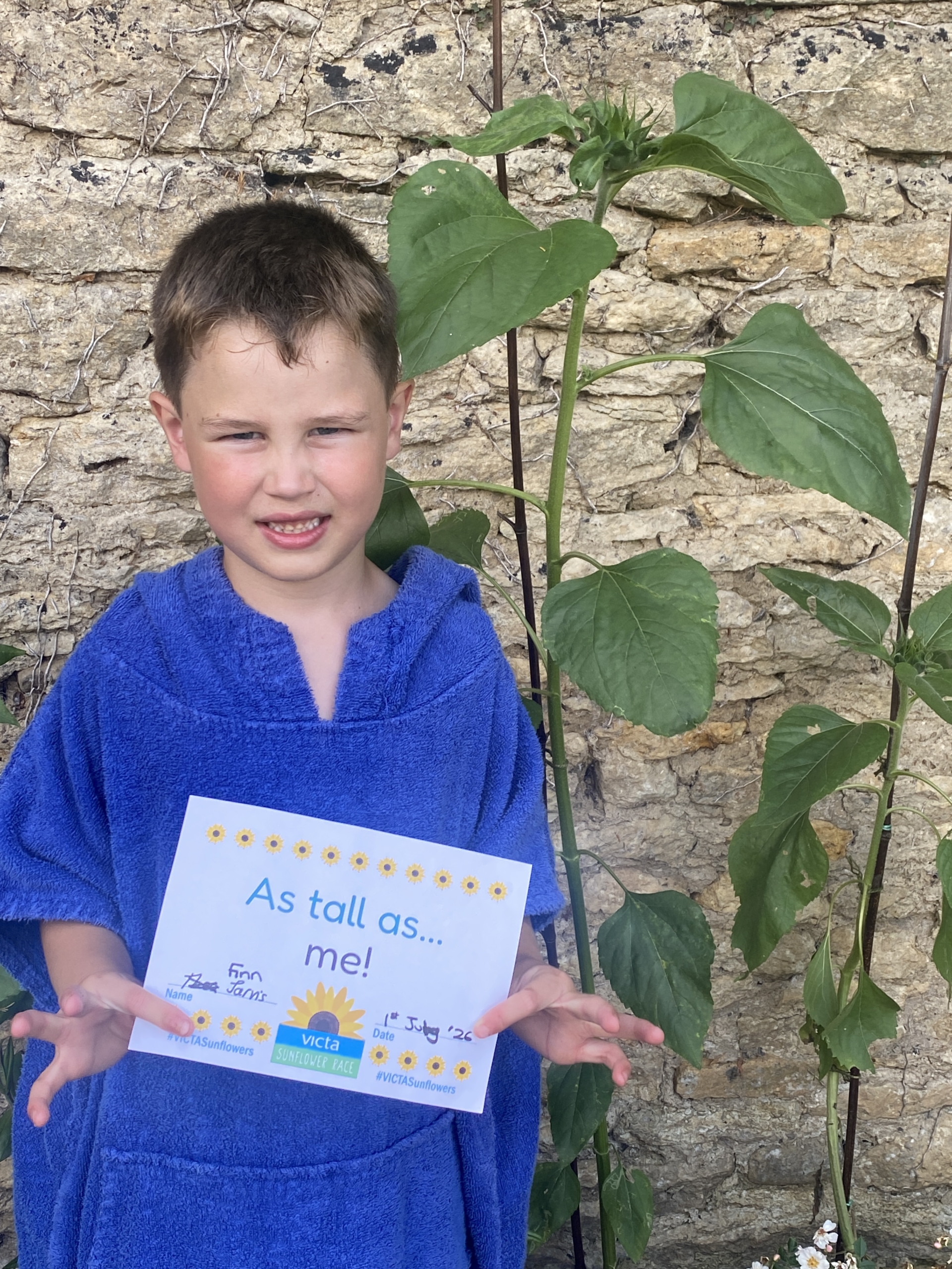 Finn Boy in a blue fleece next to a sunflower as tall as him.