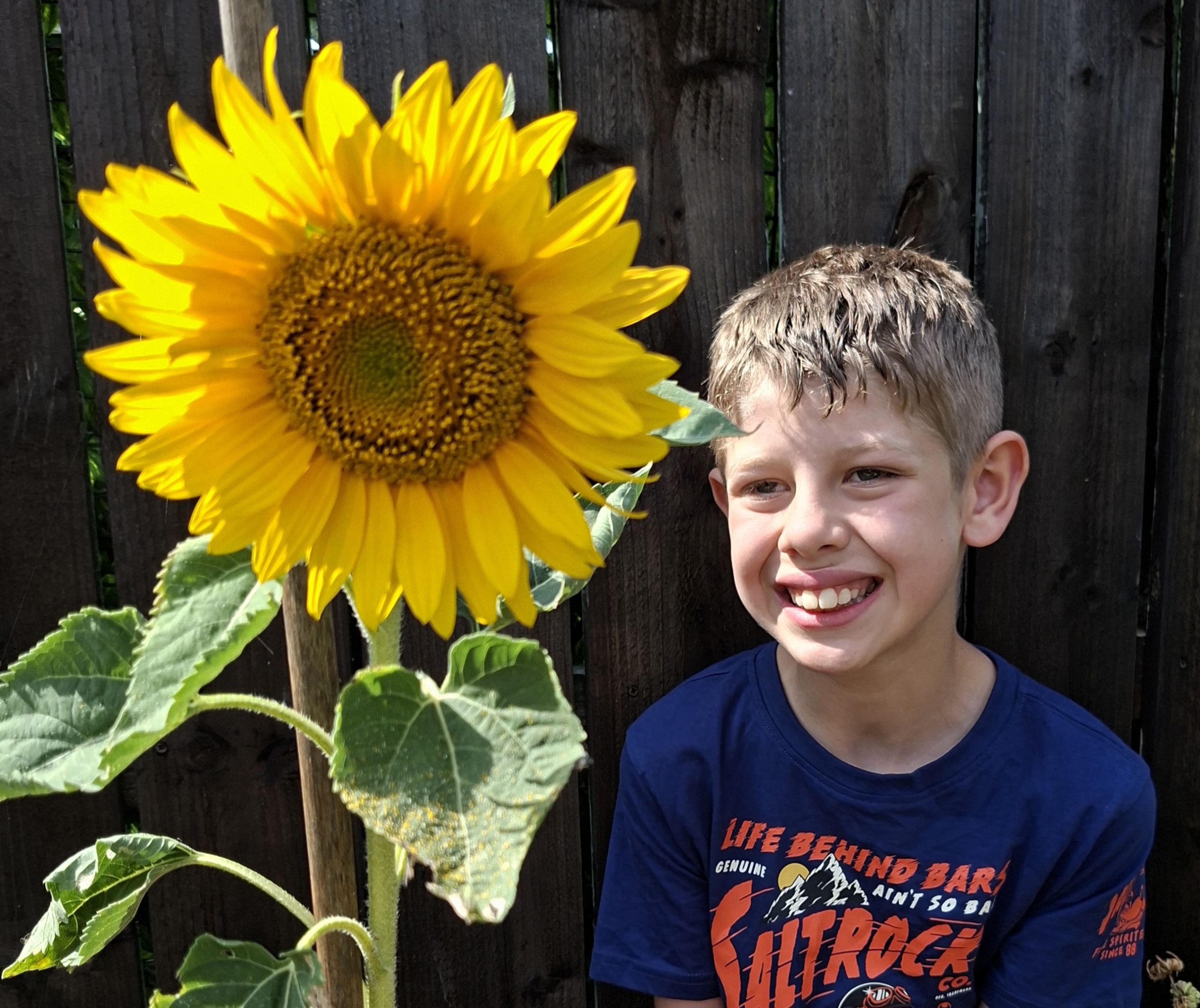 A boy smiling next to a large yellow blooming sunflower in front of a dark fence.