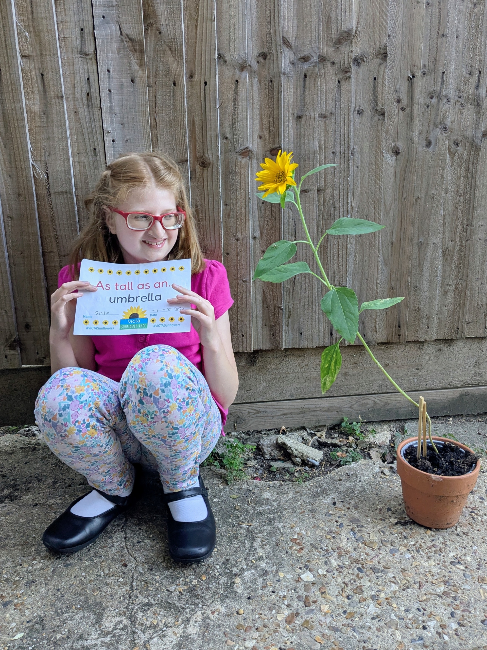 Suzanne umbrella A girl sat on the ground next to a potted sunflower with a yellow bloom.