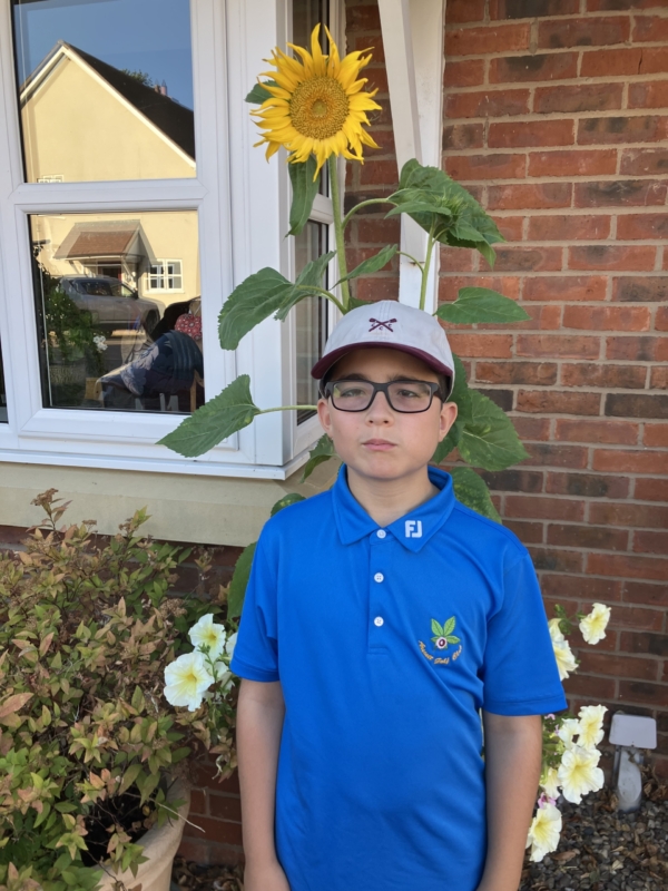 IMG_4297-0f2082ae95f34652e7ca7c00d22ace17 A boy in a blue polo shirt and cap stands in front of a sunflower which has a beautiful flower about 30 cm over his head