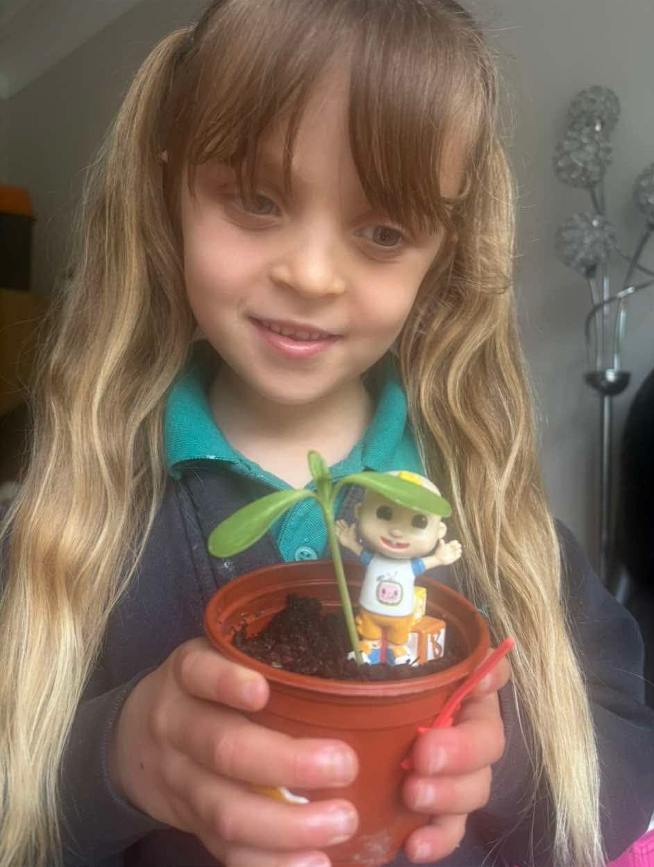 Plant pot A girl with long hair in bunches holding a small plant pot growing a green sapling.