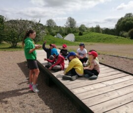 IMG_20230529_112210