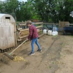 IMG_0017