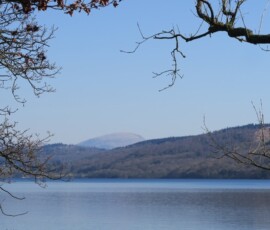 IMG_0094