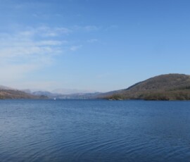 IMG_0105