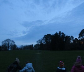 IMG_0127