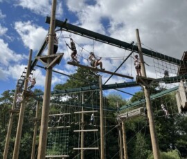 IMG_1336
