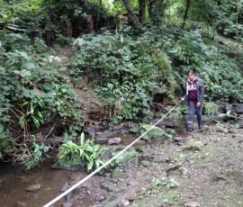 IMG_20220817_110448985