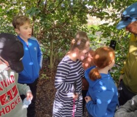 IMG_20230403_162110174_HDR