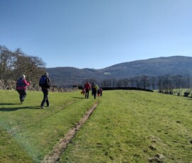 IMG_20230404_101830505_HDR