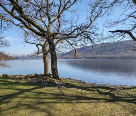 IMG_20230404_102242093_HDR