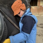 A boy leans his head in against a horse