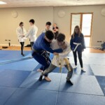 Martial arts action shot